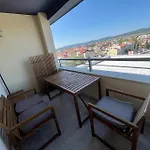 Summer Sunny